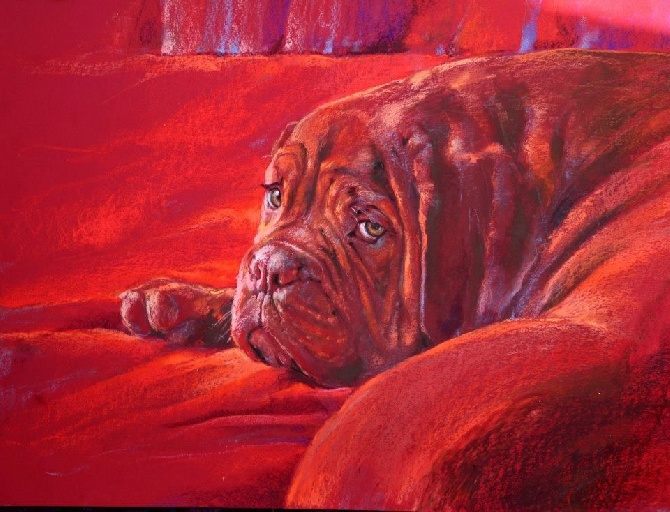 Red Dog Demars - Tableau pastel peinture canine